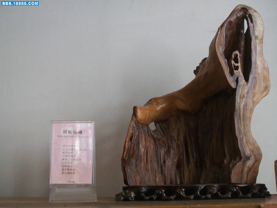 DSCF8221.JPG