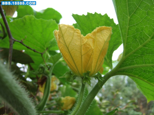 DSCF7394.JPG
