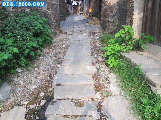 IMG_1663_缩小大小.JPG