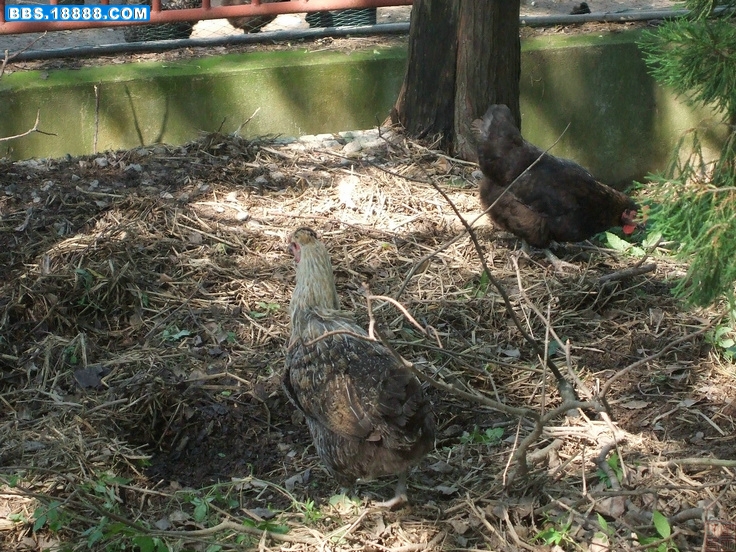 DSCF8207.JPG