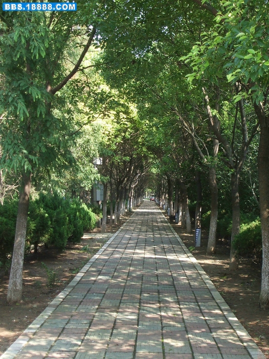DSCF8196.JPG