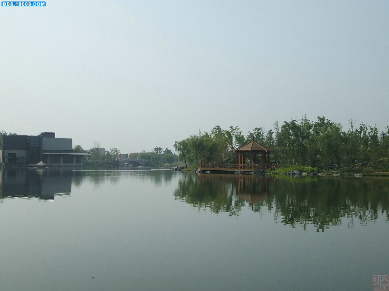 DSCF8329.JPG