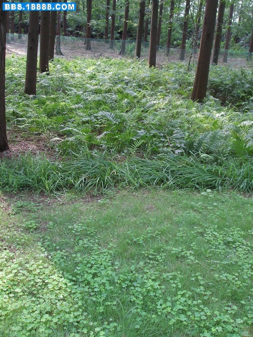 DSCF8273.JPG