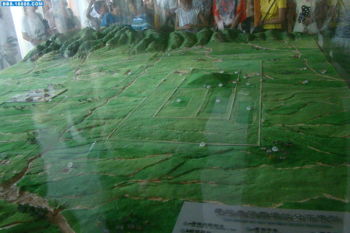 68.JPG