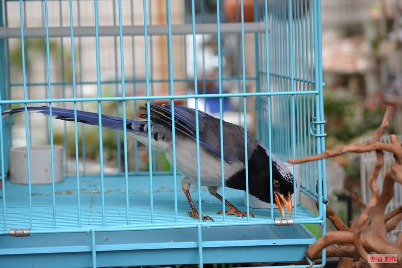 nEO_IMG_DSC_0076.jpg