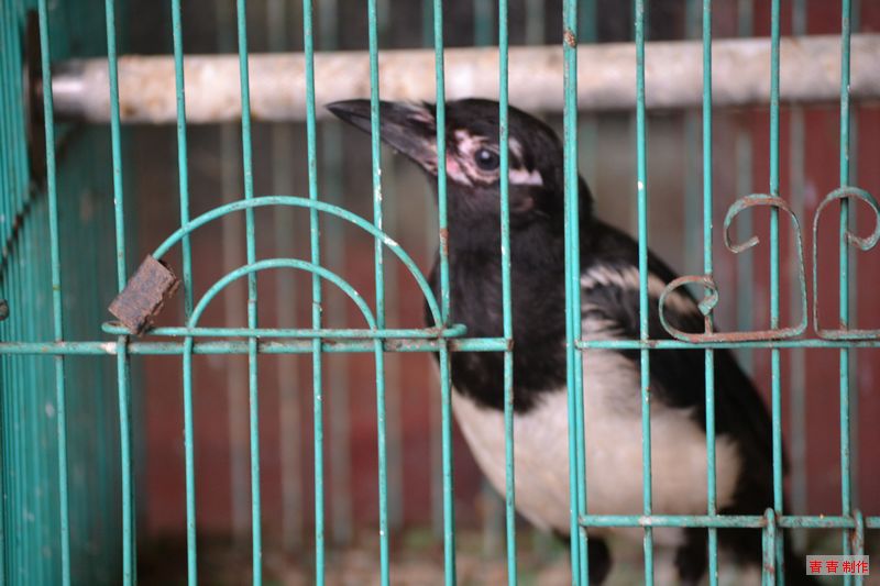 nEO_IMG_DSC_0069.jpg