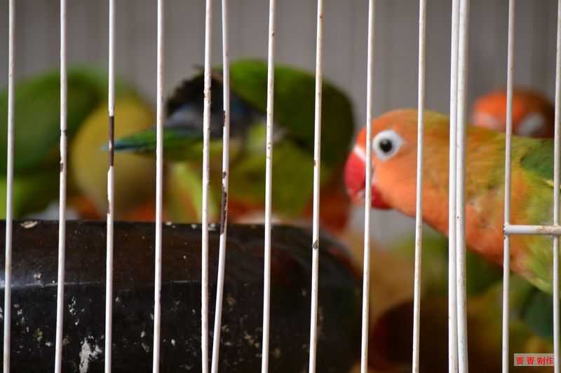 nEO_IMG_DSC_0054.jpg