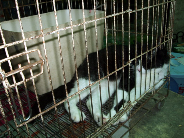 DSCF8159.jpg