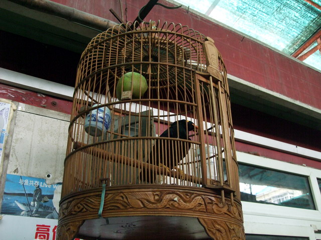 DSCF8233.jpg