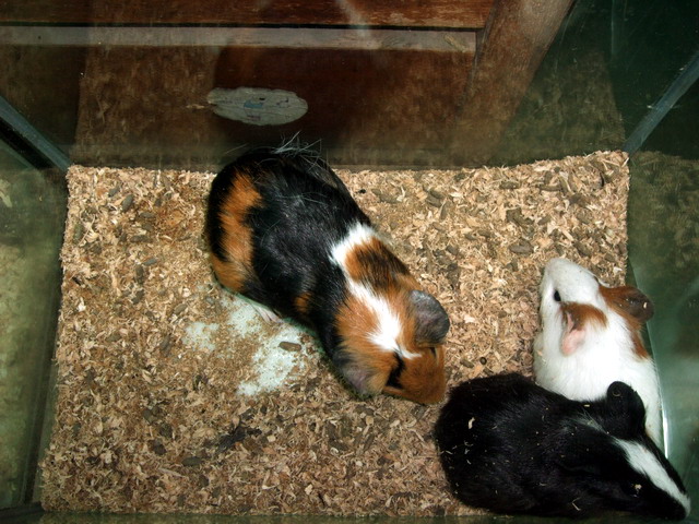 DSCF8179.jpg