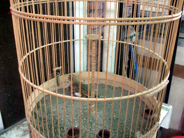 DSCF8240.jpg