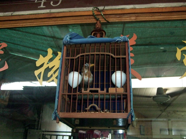 DSCF8169.jpg
