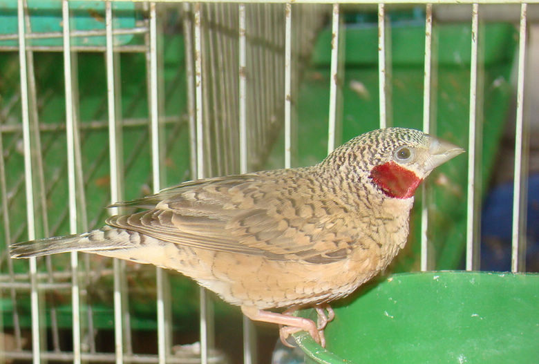 DSC06882.jpg