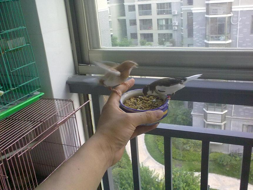 201108221728.jpg