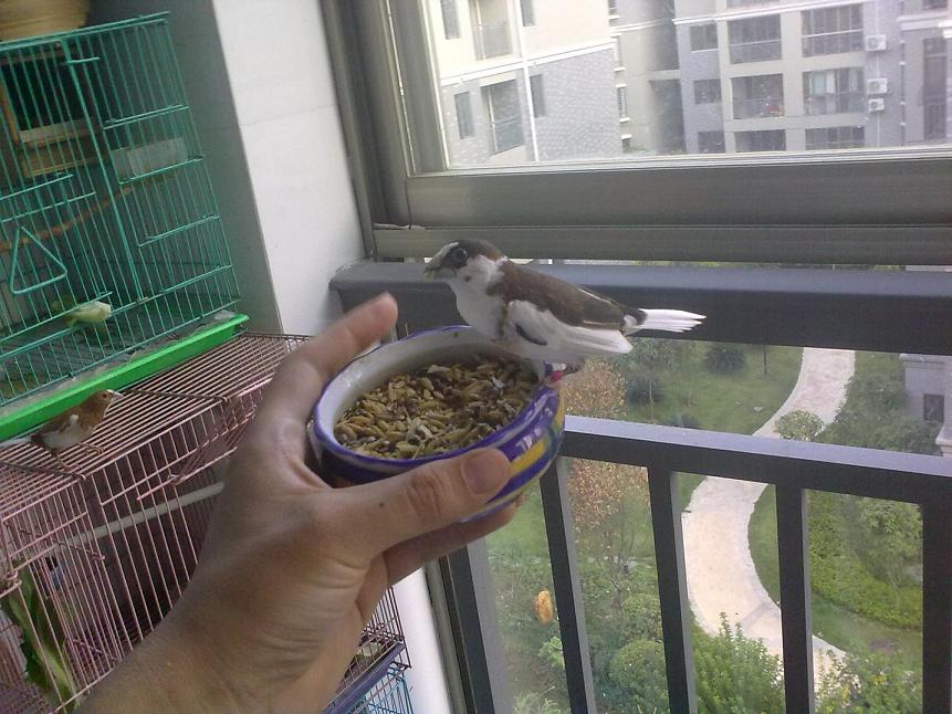 201108221727.jpg