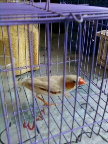照片-0003.jpg