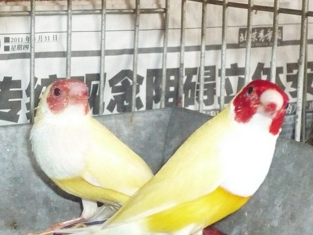 P1060638.JPG