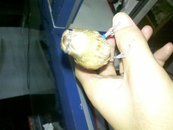 2011-08-31_22-52-03_74.jpg