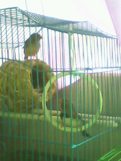 IMG0214A.jpg