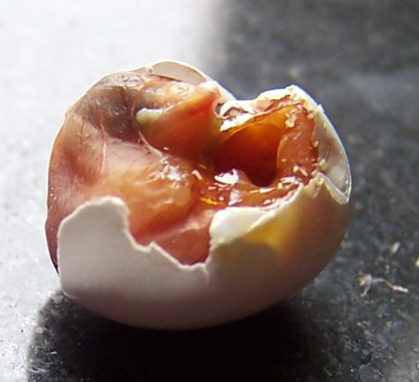 100_4359.jpg