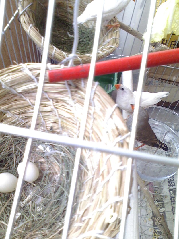 IMG0812112000.jpg