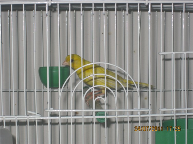 http_imgload10.jpg