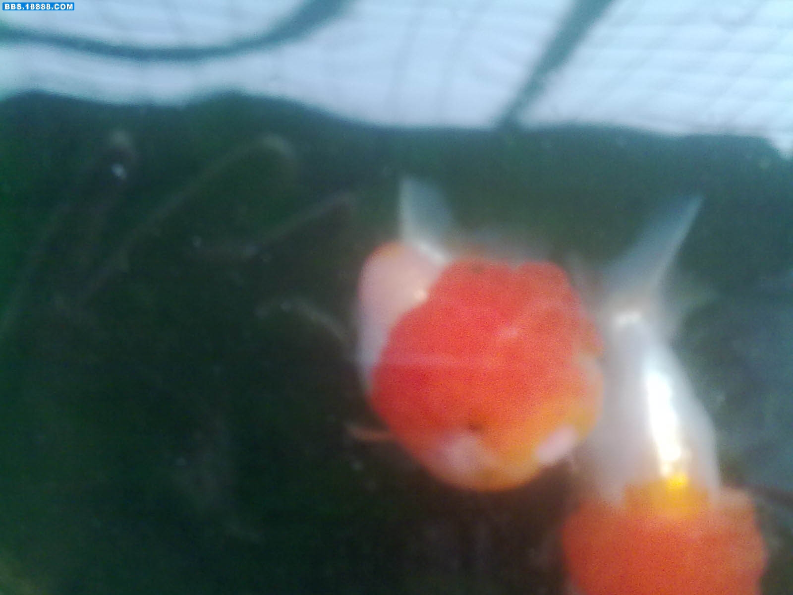 20110724179.jpg