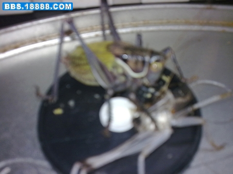 20110830284.jpg