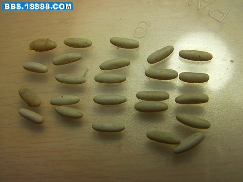 SANY3428_副本.jpg