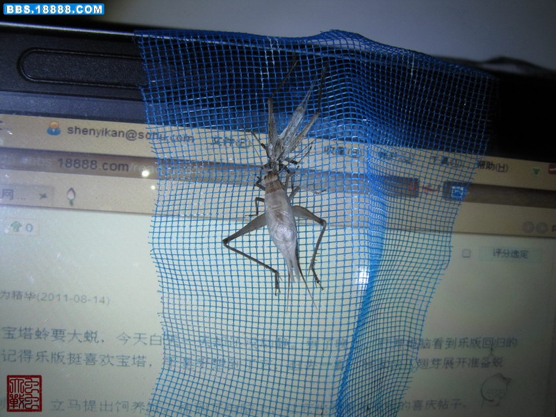 IMG_5769_调整大小.JPG