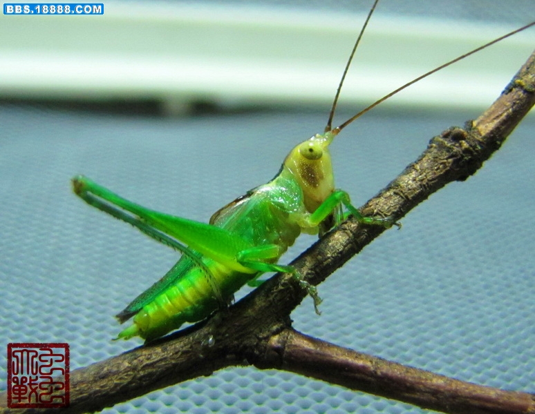 IMG_5843_调整大小.JPG