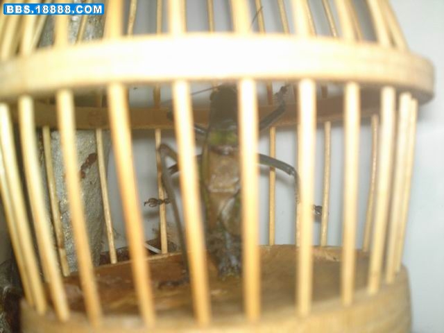 20110827763.JPG