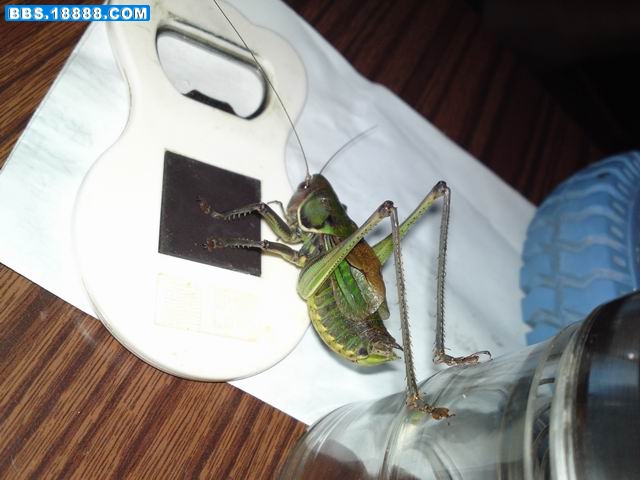 20110814754.JPG