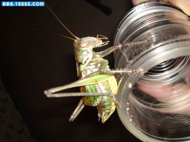 20110814752.JPG