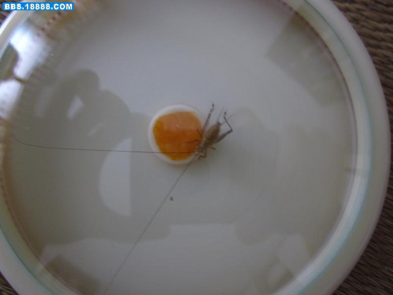 照片 002.jpg