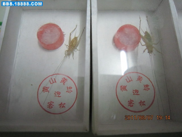 照片 037.jpg