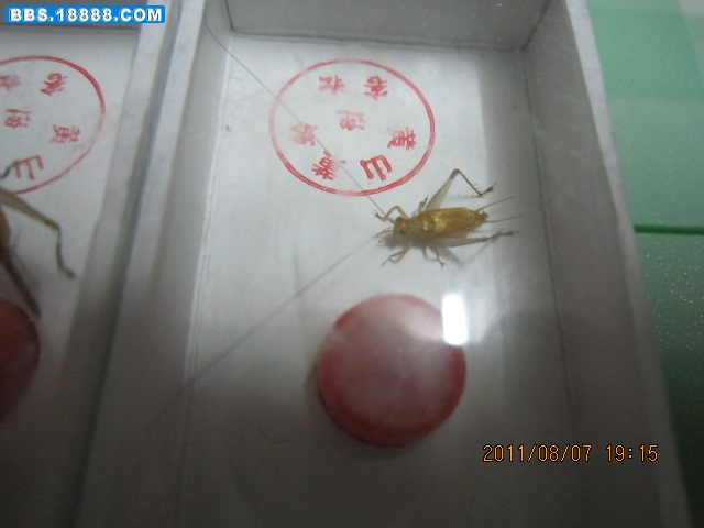 照片 038.jpg