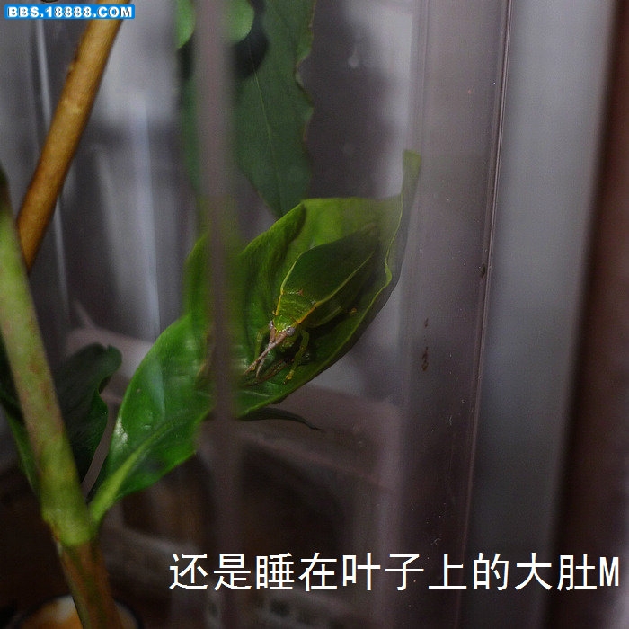 nEO_IMG_P-7.jpg