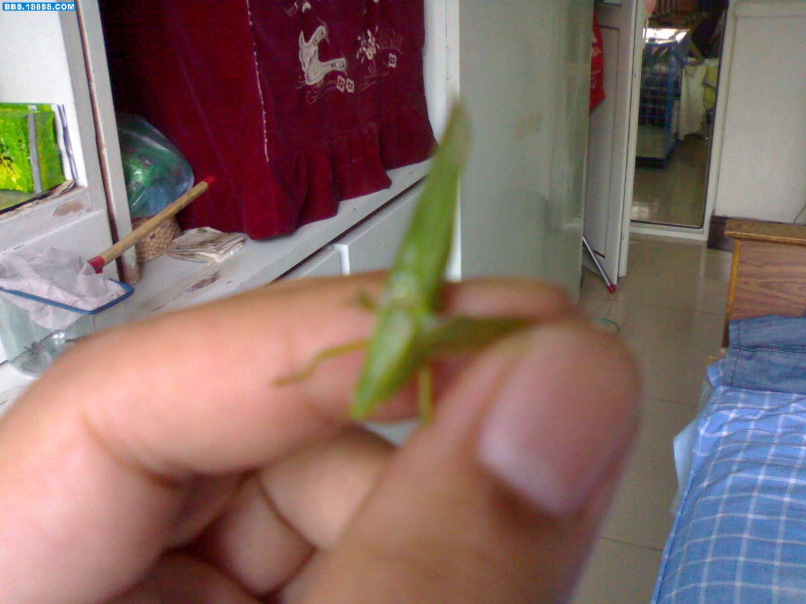 20100915031.jpg