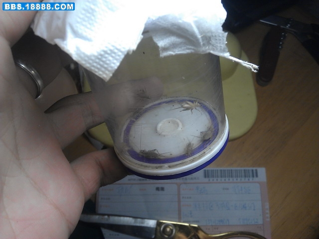 IMAG0178.jpg