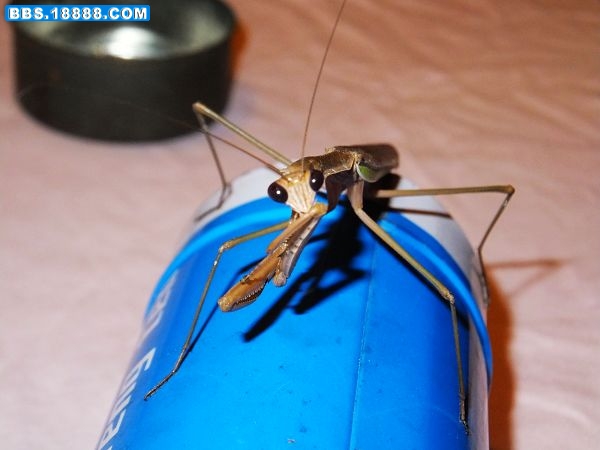 DSCF2055.jpg