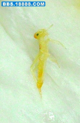 照片 039_conew1.jpg