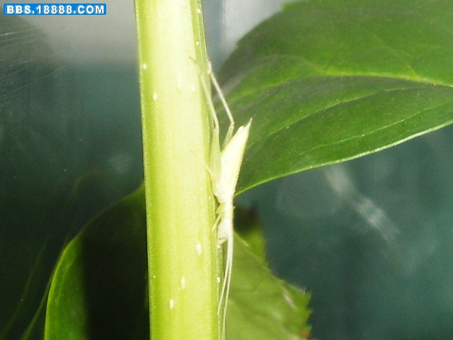 DSCF7916.JPG