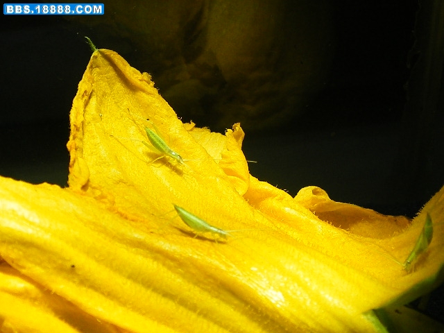 DSCF7940.JPG