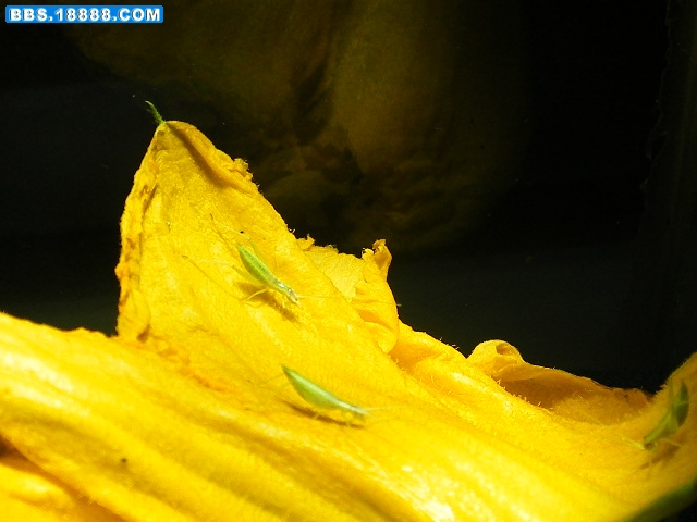 DSCF7941.JPG