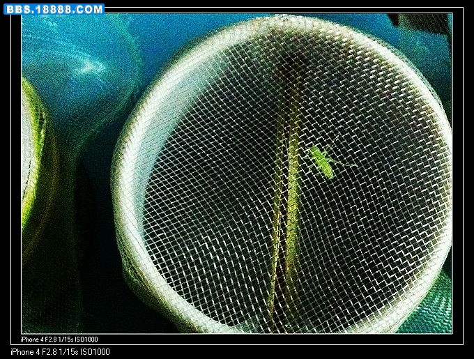 nEO_IMG_nEO_IMG_照片 012.jpg