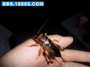 (L$5Q7D%6HUAI}~9}SS%[46.jpg