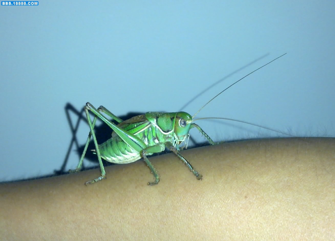 20110822514-001.jpg