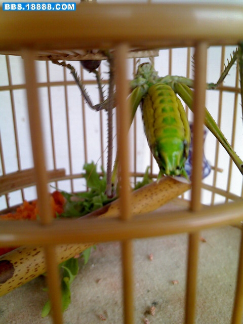 0805_080112.jpg