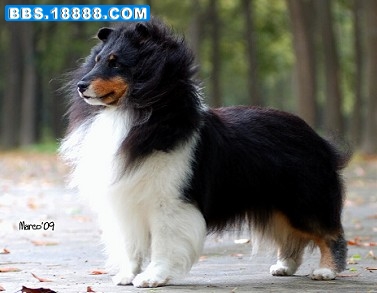 http_imgloadCA878RO8.jpg